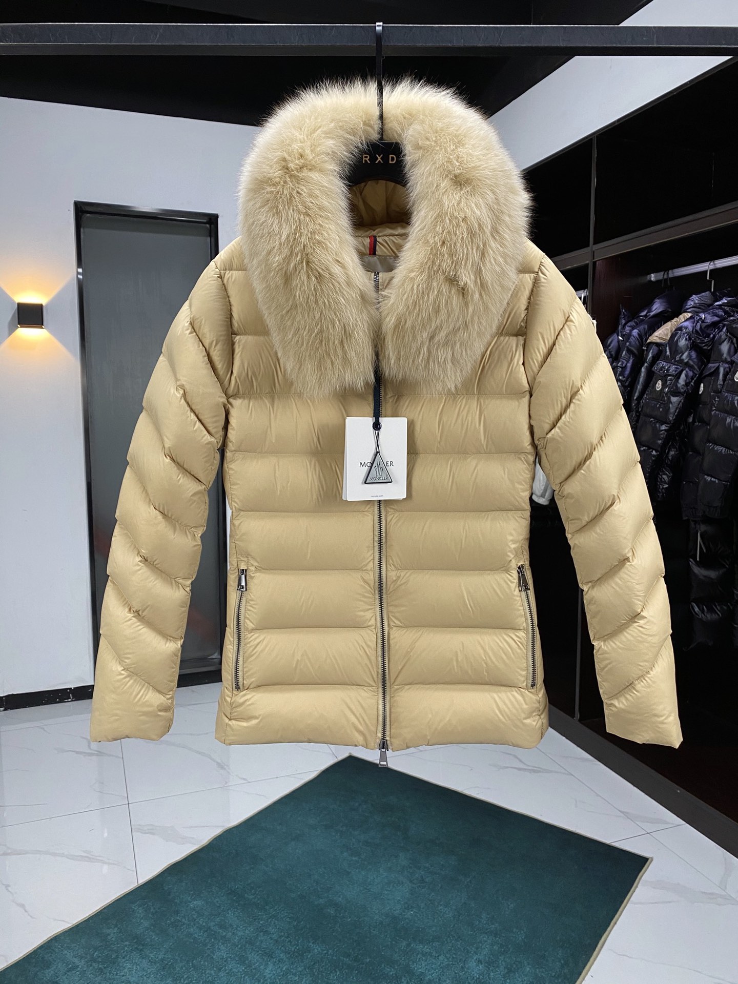 Moncler Down Jackets